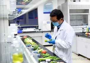 給力！2019全國農業產業化龍頭企業500強發布，徐州這家企業憑借檢驗檢測服務上榜